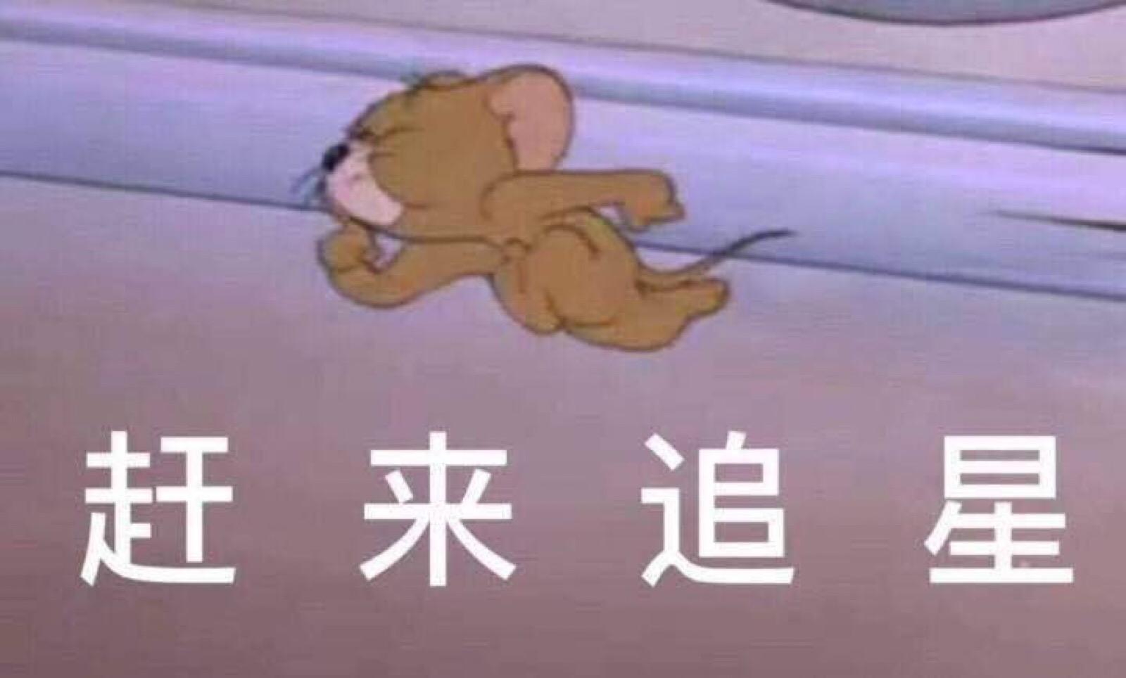 追星1.jpg