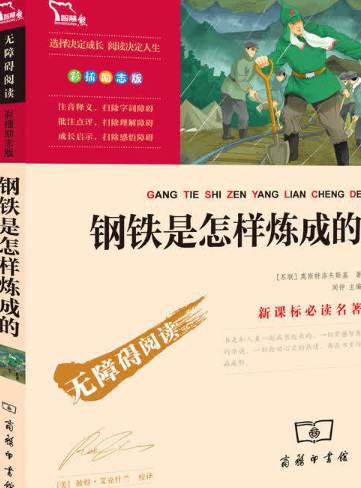 【读书分享】钢铁是怎样炼成的----尼古拉·奥斯特洛夫斯基